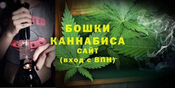 дурь Покачи