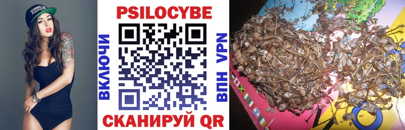 Псилоцибиновые грибы Cubensis  blacksprut ссылка  Туймазы 